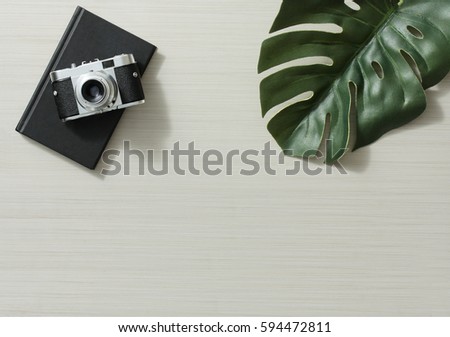 Overhead shot of a classic rangefinder and fern leaf