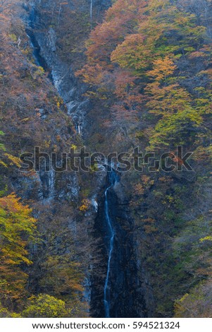 Small waterfall and autumn tree forest at high mountain