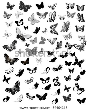 Set Butterfly Royalty-Free Stock Photo #59454313