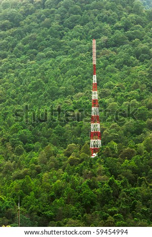 Antenna in the forest