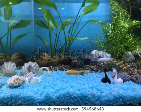 an aquarium,  fish tank with miniature and plants for its decoration