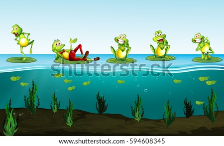 Frogs floating on lily pads