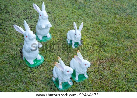 Many white rabbit on the ground grass green.