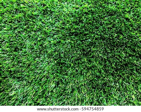 The grass on the world. Green is happy and life because green is chlorophyll can generate oxygen for life in the world. This is picture for pattern texture background.