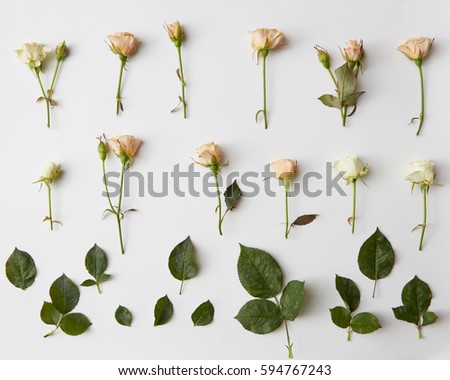 Composition of flowers over white