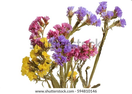 Bouquet of dried wild flowers isolated on white background