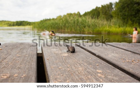 summer lake landscape and background with people playing in the water and conch shell in the wooden pier 