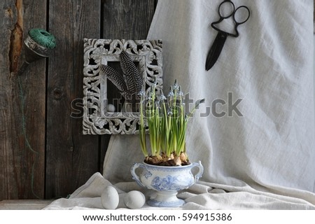 Floral scene with blue hyacinth in vintage sauce tureen, flowerpot, bird feathers, quail egg in aged rectangular frame, rare rustic scissors on linen background, rusty funnel with twine on dark wood
