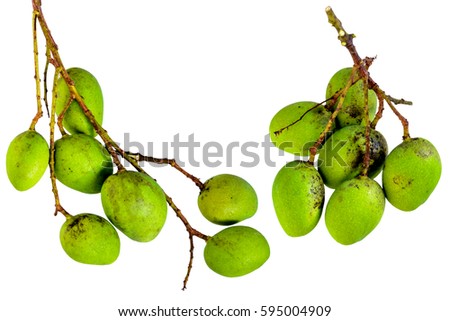 green mango isolate and white background
