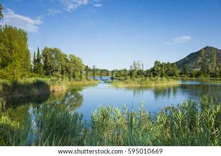 Croatia Dalmatia Europe. Beautiful nature and landscape photo. Colorful warm summer day with blue sky. Forest, trees and lake with water. Nice happy atmosphere.
