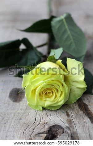 roses on wooden surface
