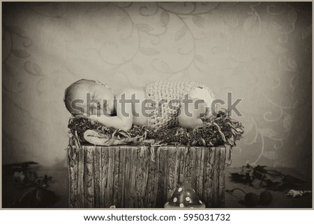 We can see the baby girl's first photo shoot. She is sleeping peacefully on a basket in the shape of a stump and there are a few autumn leaves around her on the ground. Black-and-white photography.