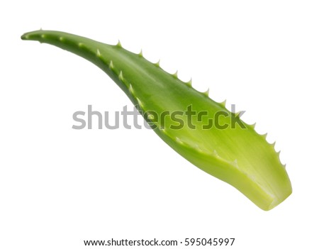 Fresh leaf of aloe vera. isolated on white background Royalty-Free Stock Photo #595045997