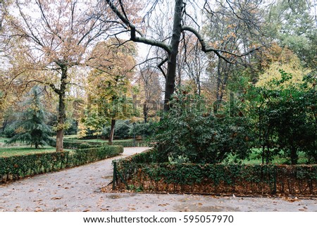 Retiro Park in Madrid with fallen leaves in autumn