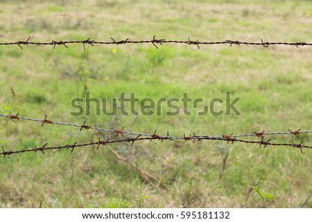 Old barbed wire