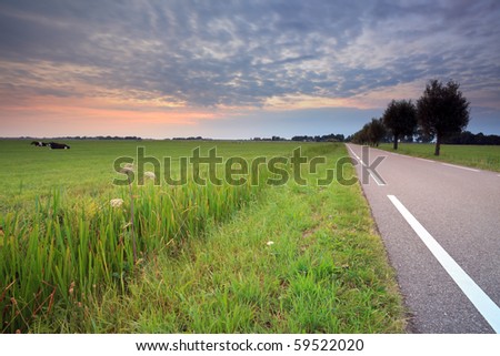 Road with trees through meadow at sunrise
