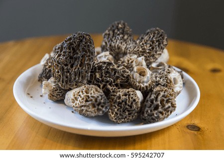 Plate of Fresh Seasonal Organic Morel Mushrooms with a Wooden Background