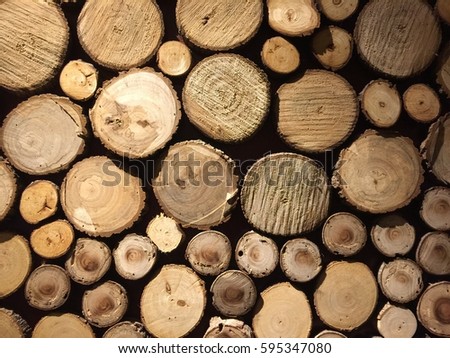 Circle wood texture background