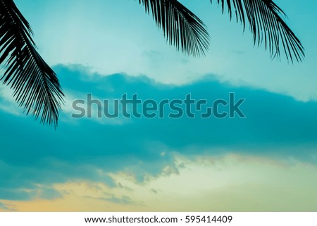 abstract blur silhouette coconut leaves with empty copyspace sky background for tropical summer season 