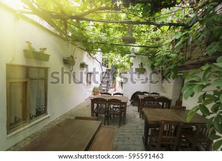 Patio of cafe with climbing plants on the roof and wooden tables and chairs