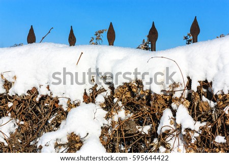 Snow-covered twined hop fence background