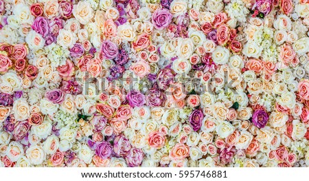 Flowers wall background with amazing red and white roses, Wedding decoration, hand made Royalty-Free Stock Photo #595746881