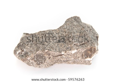 Limestone,  a sedimentary rock with Nummulites from paleogene, neogene Royalty-Free Stock Photo #59576263