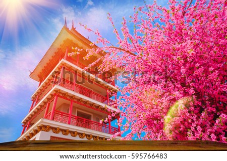 Artificial Sakura flowers or cherry blossoms and Pagoda  on japan style with Wood table and blue sky background.