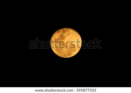 the moon light