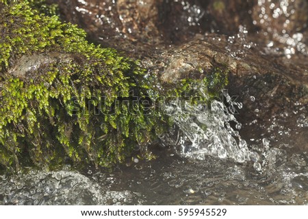 clear mountain running water, note shallow depth of field