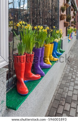 Rubber boots with flowering daffodils and hyacinths in the cafe window