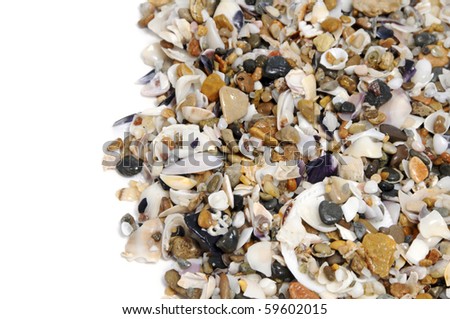 a pile of seashells on a white background