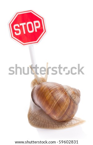 the garden snail and stop traffic sign
