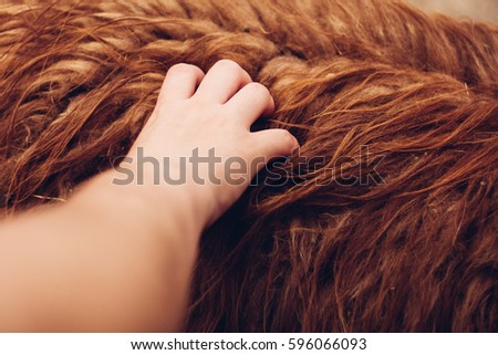 Child's hand in brown animal's wool, picture from zoo, where you can feed mammals