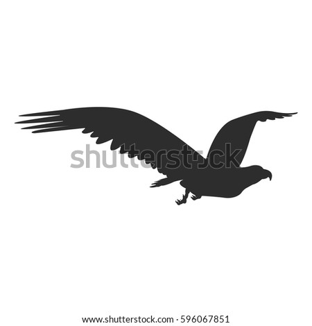 Silhouette of a soaring bird. Separately isolated image on a white background