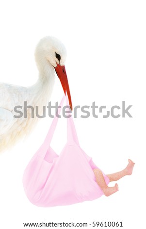 A stork holding a pink bag with a baby in his beak Royalty-Free Stock Photo #59610061