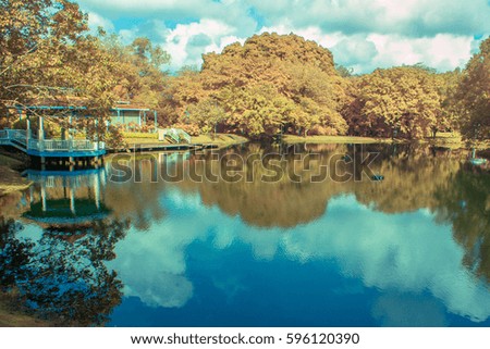 Infrared landscape with calm lake and refection of lake.View in infrared photography,soft focusing.