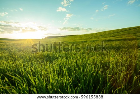 Green meadow under blue sky with clouds  Royalty-Free Stock Photo #596155838