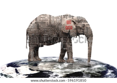 words related with big data analysis on elephant which stand on earth, on white backgrounds