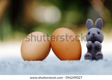 Close up bunny and egg, happy easter concrpt