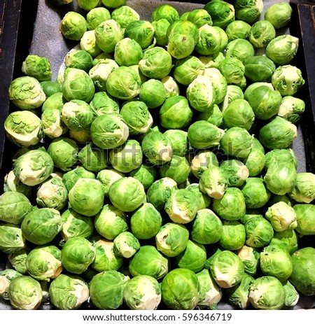 Brussel sprout on the shelf in the supermarket, Brussels sprouts background