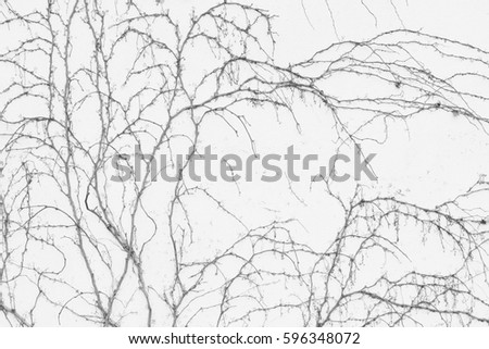 Wall with branches