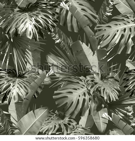 Tropical leaves pattern palm plants. Green leaf monstera seamless. Artistic photo collage for floral print. With soft focus effect