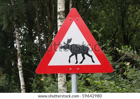 Traffic sign beware of crossing wild elk, Norway