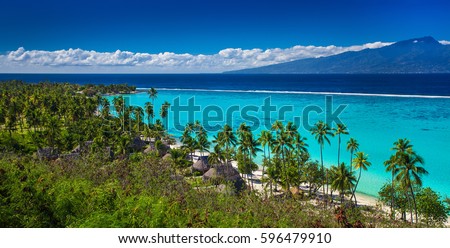 Palm trees on tropical beach of Moorea island with the view of Tahiti, French Polynesia Royalty-Free Stock Photo #596479910