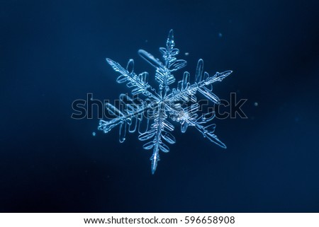 Snowflake on a dark background 