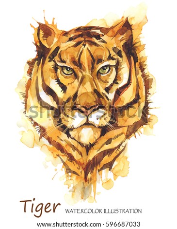 Watercolor tiger on the white background. African animal. Wildlife art illustration. Can be printed on T-shirts, bags, posters, invitations, cards, phone cases, pillows. Place for your text.