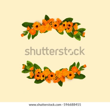 Frame of flowers with leaves Calendula (Calendula officinalis, pot marigold, ruddles, garden marigold, English marigold) on a yellow background with space for text. Top view, flat lay. Medicinal herb.