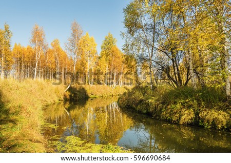 Beautiful autumn landscape with a calm small river that flows among the trees of Golden color. Russia, ural