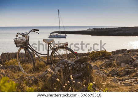 Bicycle Ride and Relaxing Day at the Sea